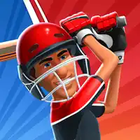 Cricket Games 🕹️  Play For Free on GamePix