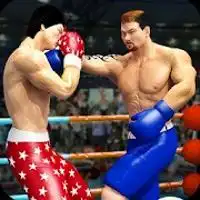 Boxing Games