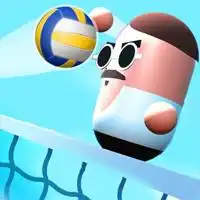 Volley Games